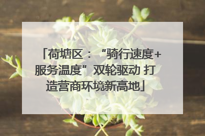 荷塘区：“骑行速度+服务温度”双轮驱动 打造营商环境新高地